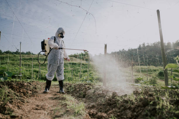 Best Best Pest Control Companies  in Irwin, SC