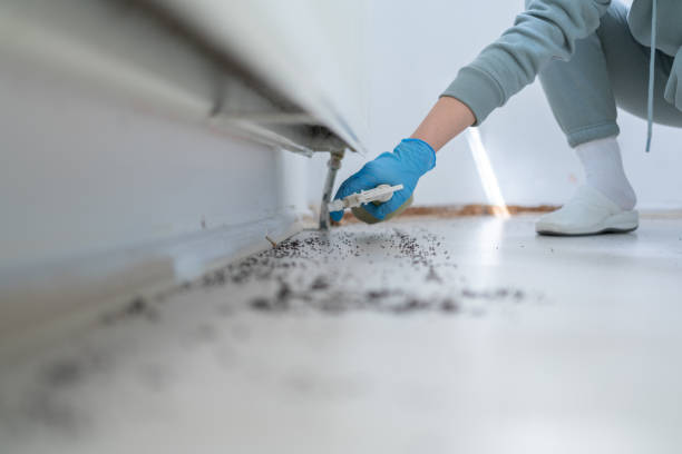 Best Exterminator Services  in Irwin, SC